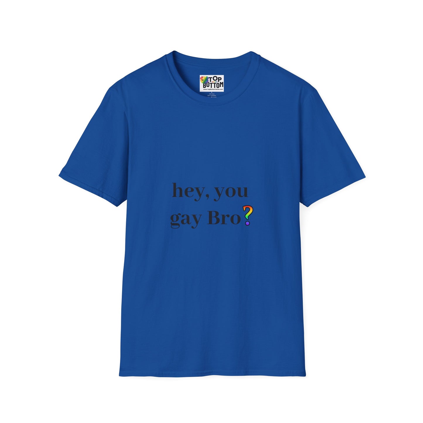 Hey, You Gay Bro? T-Shirt
