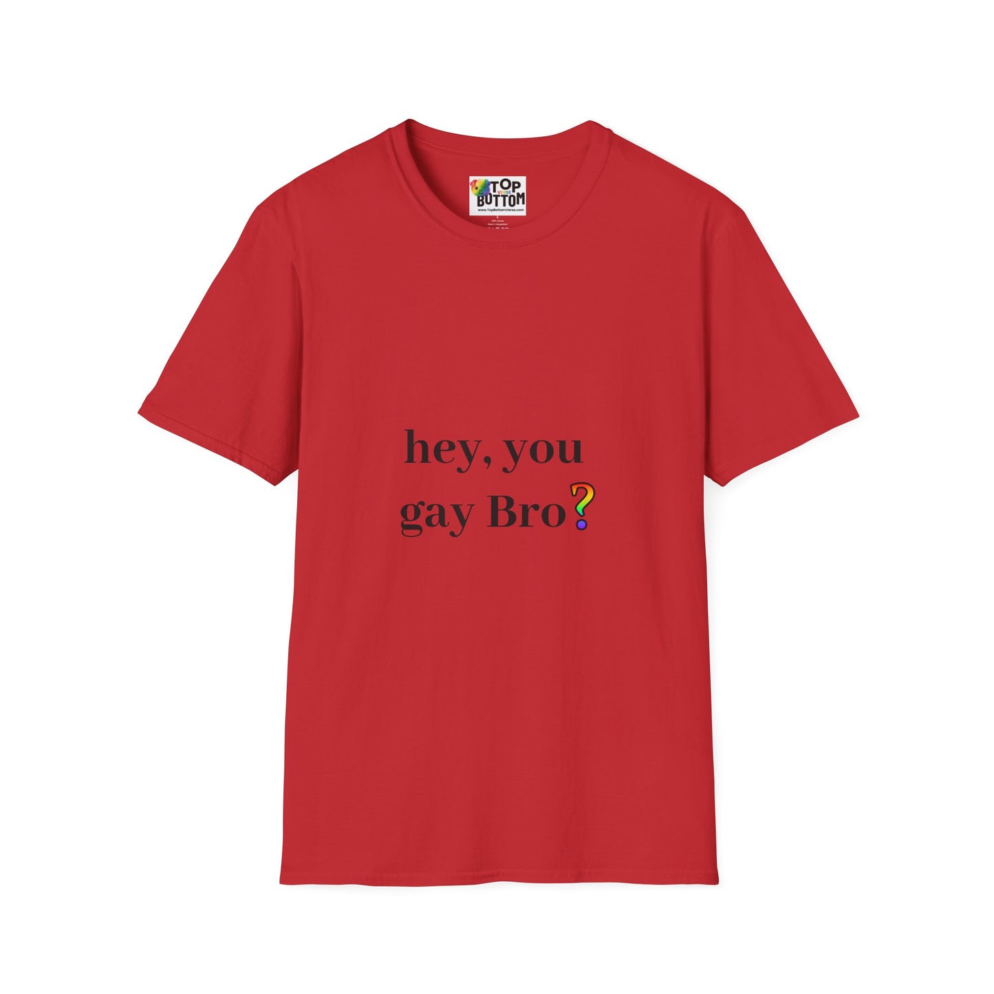 Hey, You Gay Bro? T-Shirt