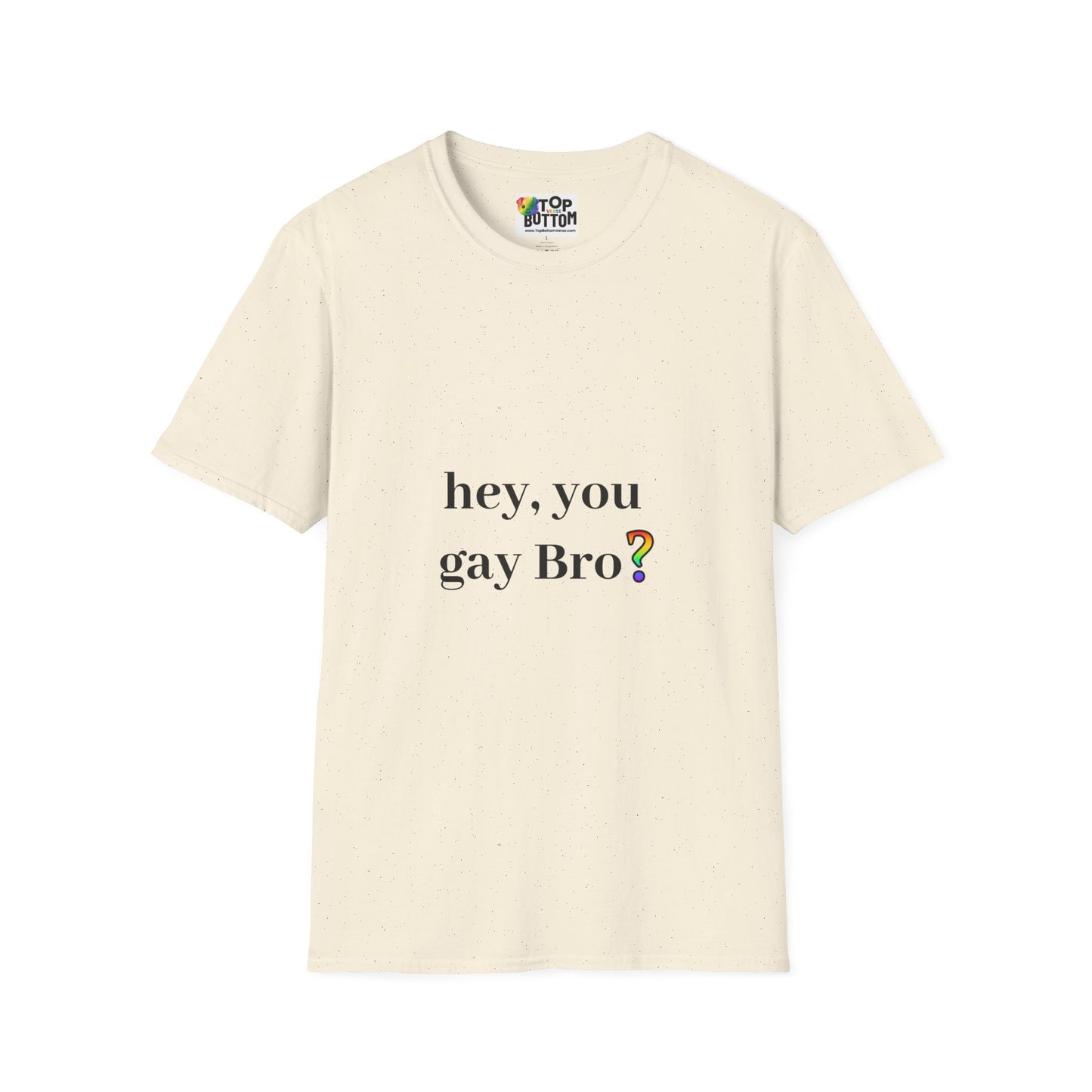 Hey, You Gay Bro? T-Shirt